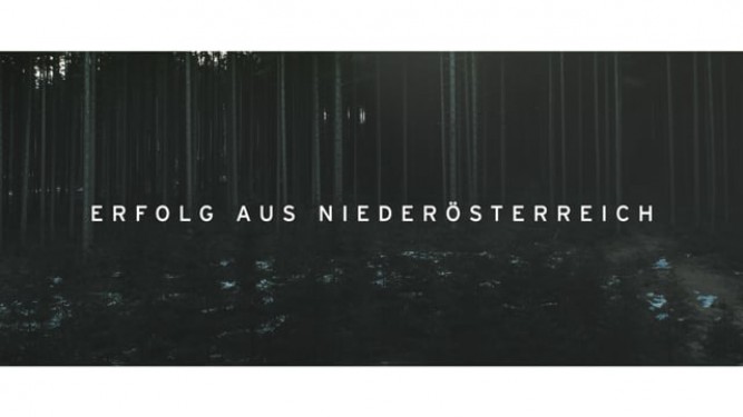 Erfolg aus Niederösterreich