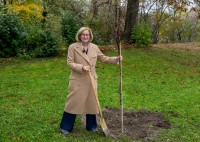 LH Mikl-Leitner: 200 Bäume für St. Pöltner Regierungsviertel LH Mikl-Leitner: 200 Bäume für St. Pöltner Regierungsviertel