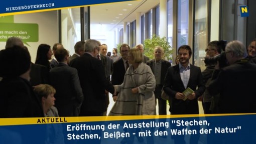 Eröffnung Eröffnung