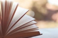 Studien und Forschungen