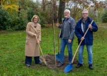 Bei der Baumpflanzaktion im Regierungsviertel St. Pölten (v.l.): Landeshauptfrau Johanna Mikl-Leitner mit Markus Ziegler und Alfred Dunger.
