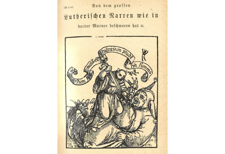 Highlight des Monats