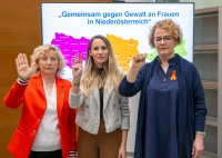 Gemeinsam gegen Gewalt an Frauen in Niederösterreich