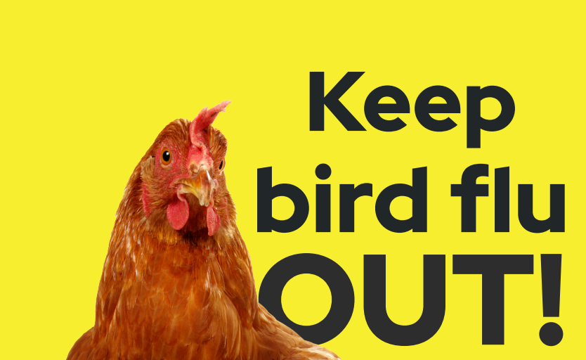 EFSA Sujet Keep birdflu out